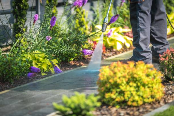 Best Post-Construction Pressure Washing  in Williamsville, NY