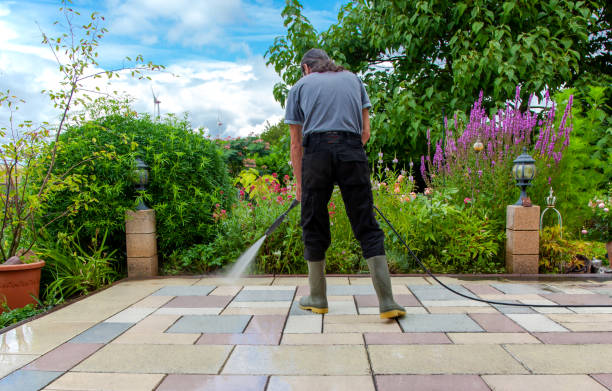 Professional Pressure Washing Services in Williamsville, NY